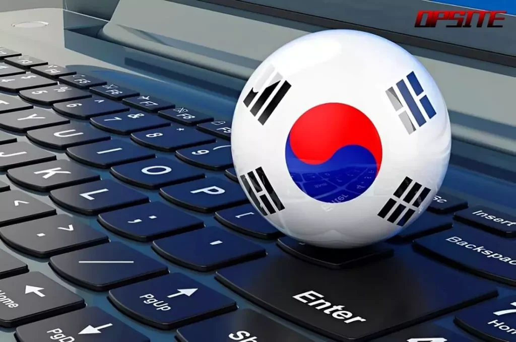 2026년, 사람들이 OP사이트를 찾는 진짜 이유