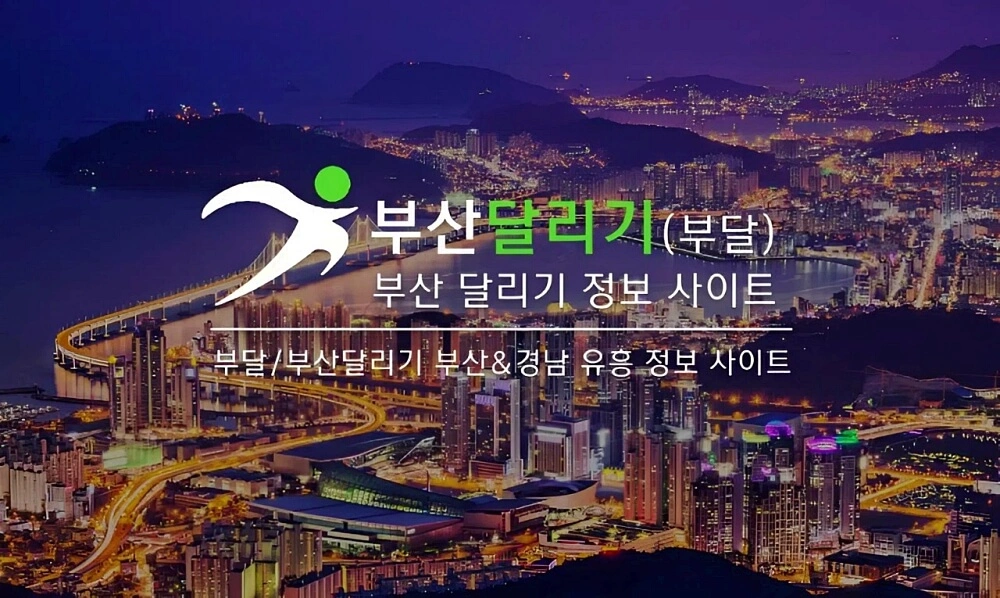 부산 지역형 커뮤니티가 주목받는 이유