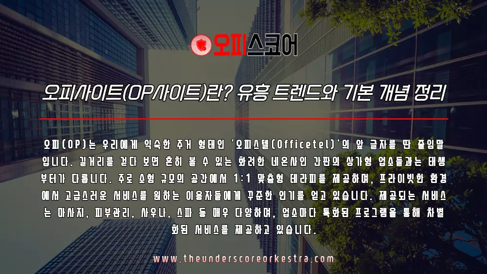 오피사이트(OP사이트) 정의 유흥 트렌드와 기본 개념
