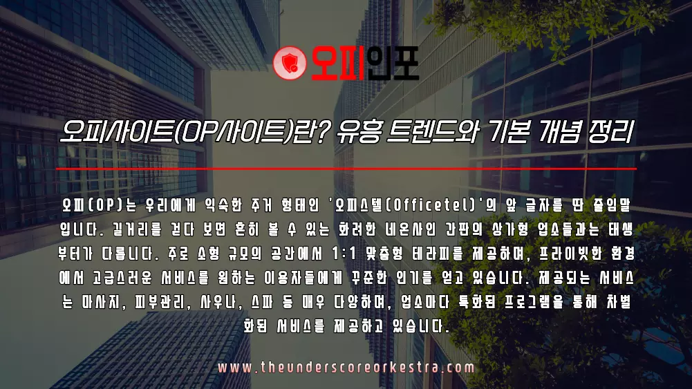 오피사이트(OP사이트) 정의 유흥 트렌드와 기본 개념 정리