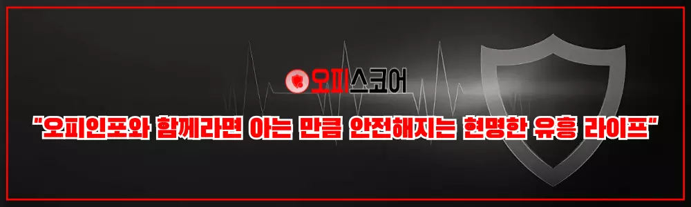 요약 및 결론 인포그래픽